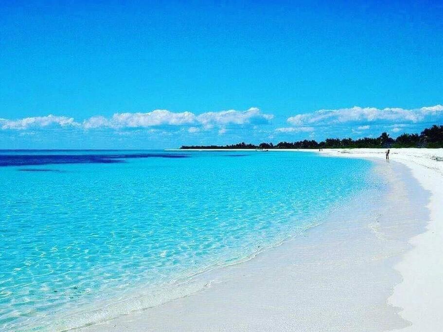 ル・ムルLes Pieds Dans L'Eau Chez Sylアパートメント エクステリア 写真