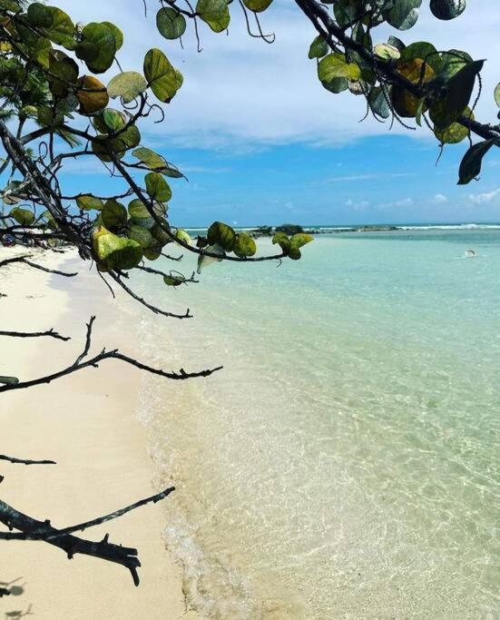 ル・ムルLes Pieds Dans L'Eau Chez Sylアパートメント エクステリア 写真